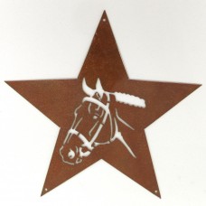 Horse Head in Star Shaped Metal Design Wall Art