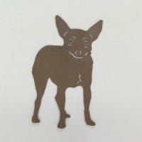 Toy Fox Terrier Dog
